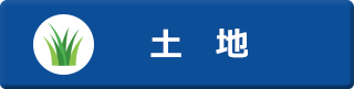 土地