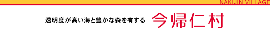 透明度が高い海と豊かな森を有する 今帰仁村