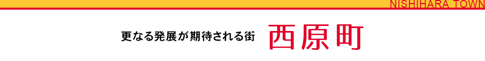 更なる発展が期待される街 西原町