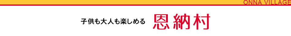 子供も大人も楽しめる 恩納村