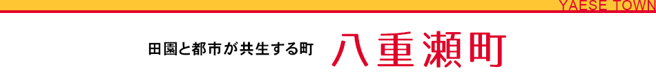 田園と都市が共生する町 八重瀬町