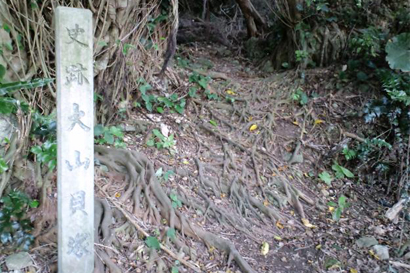 史跡大山貝塚