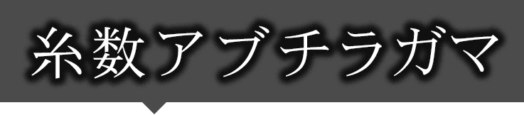 糸数アブチラガマタイトル