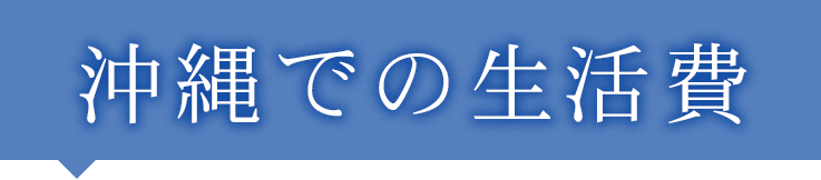 沖縄での生活費