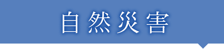 自然災害