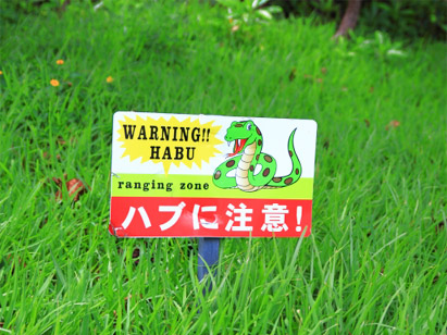 「オーハ島」でのサバイバル生活は危険?!