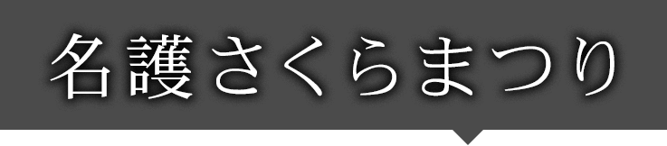 名護さくらまつり