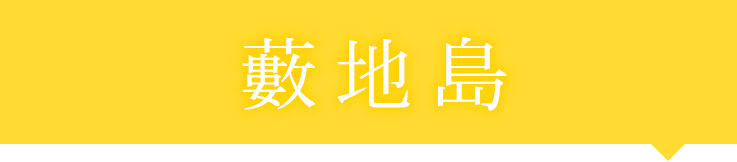藪地島