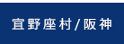 宜野座村／阪神