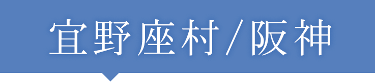 宜野座村/阪神タイガース