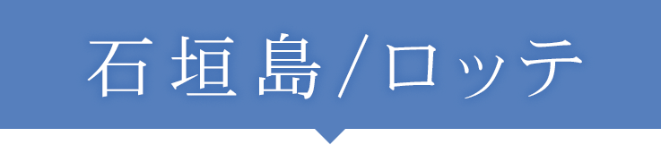 石垣島/千葉ロッテマリーンズ