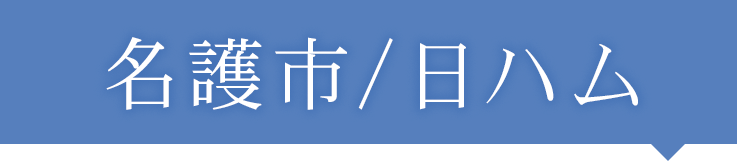 名護市/日本ハムファイターズ