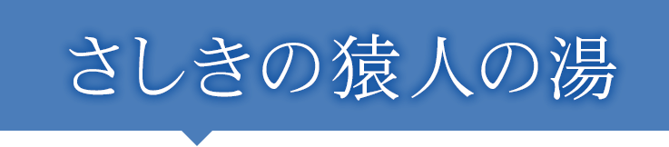 さしきの猿人の湯